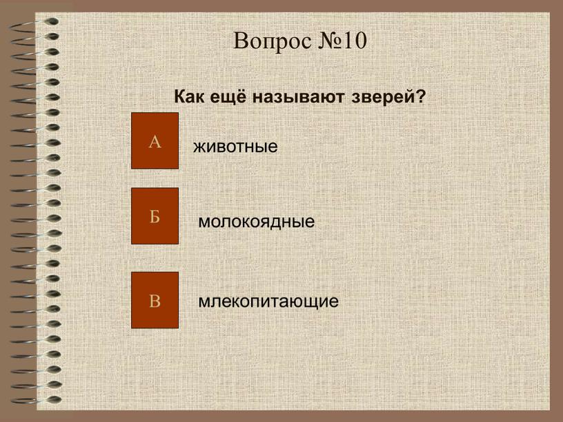 Вопрос №10 Как ещё называют зверей? животные молокоядные млекопитающие