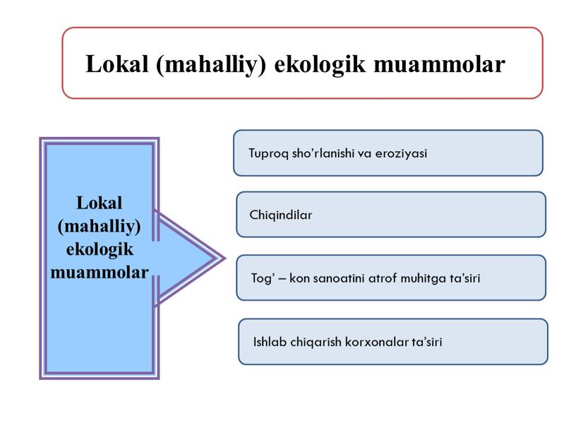 Lokal (mahalliy) ekologik muammolar