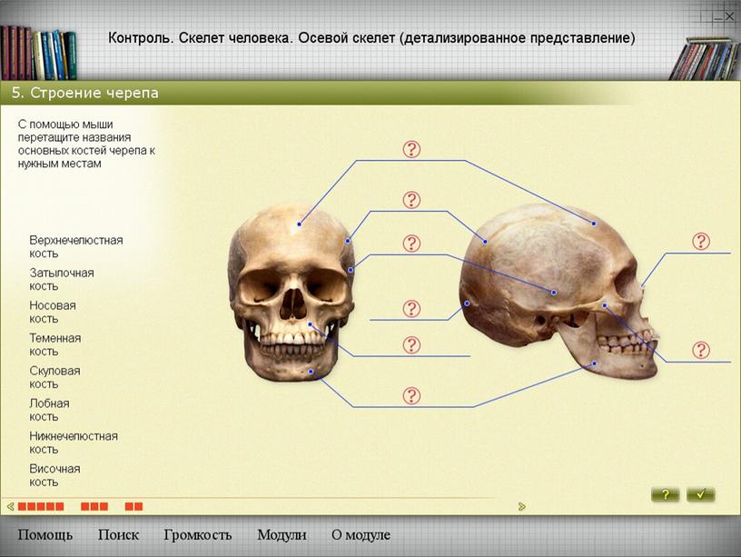 Методы развития познавательной деятельности учащихся