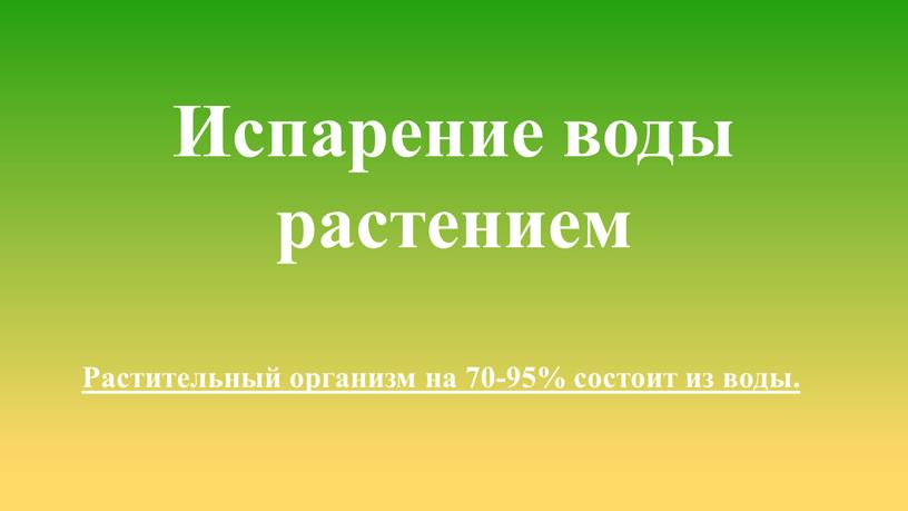 Испарение воды растением Растительный организм на 70-95% состоит из воды