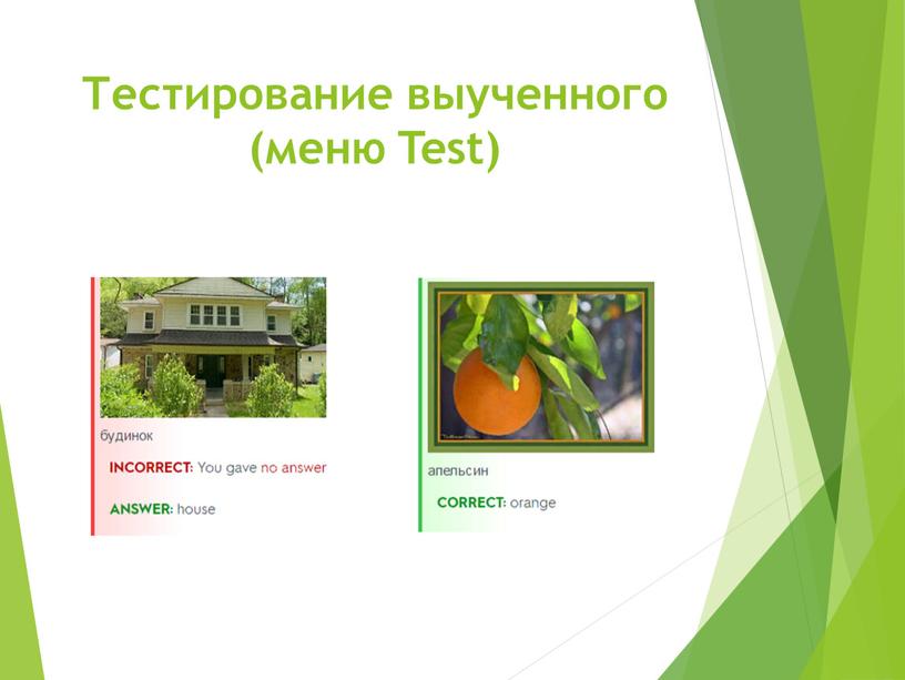 Тестирование выученного (меню Test)