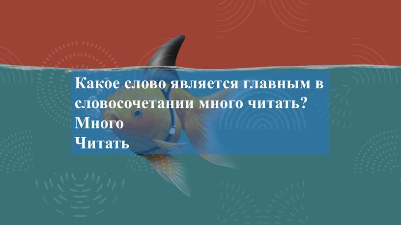 Какое слово является главным в словосочетании много читать?