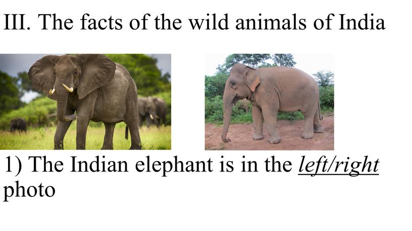 III. The facts of the wild animals of