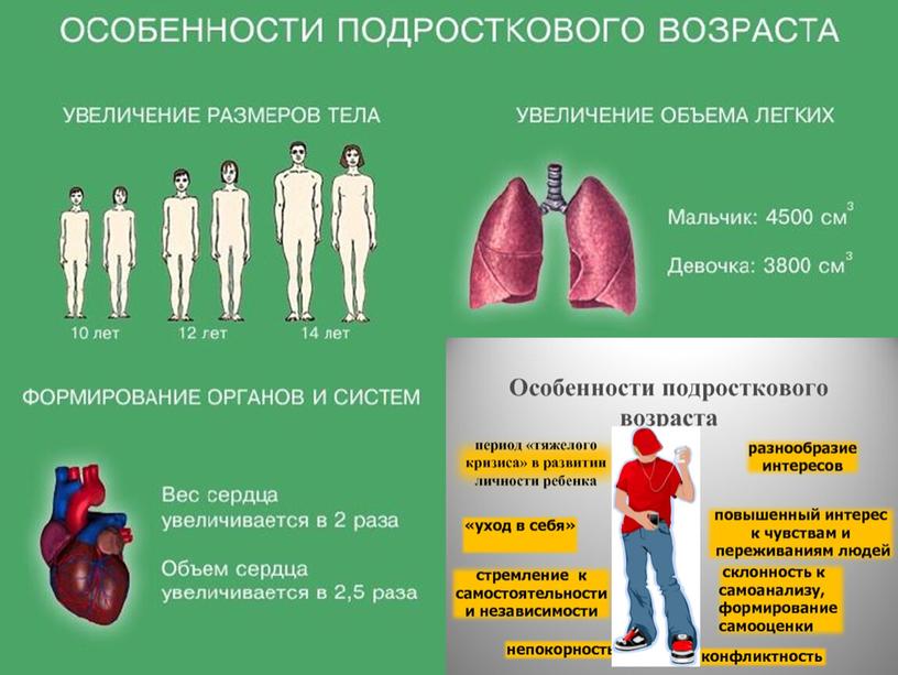 Презентация "Физиологическое и психологическое развитие подростка". Выполнили учащиеся 9а класса МБОУ "СОШ №15" города Славгорода Алтайского края Авраменко Данил и Попова Лина.