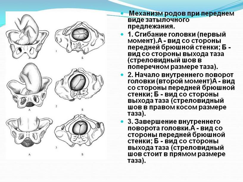 РОДЫ ВНЕ МЕДИЦИНСКОГО УЧРЕЖДЕНИЯ