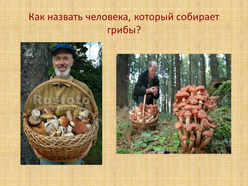 Как назвать человека, который собирает грибы?