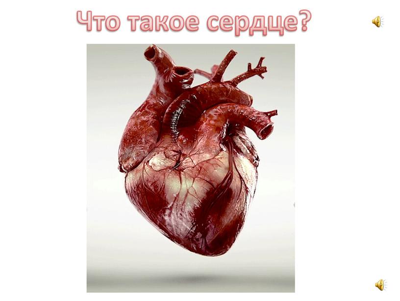 Что такое сердце?