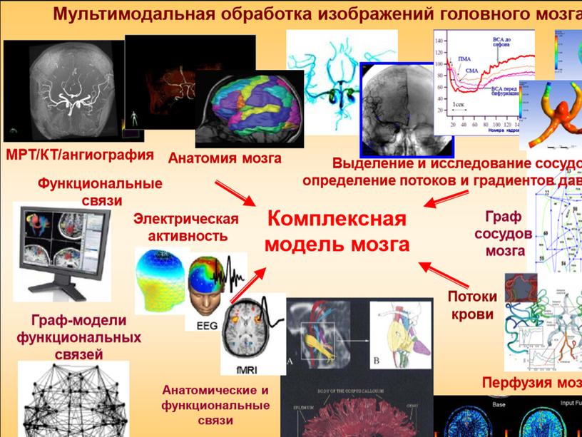 Презентация учебно-исследовательского проекта "Информационные технологии в медицине"