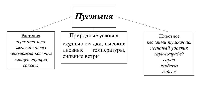 Пустыня Природные условия скудные осадки, высокие дневные температуры, сильные ветры