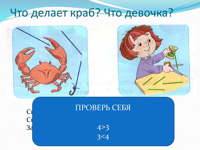 Что делает краб? Что девочка? Сколько кусочков от шнура отрезала девочка?