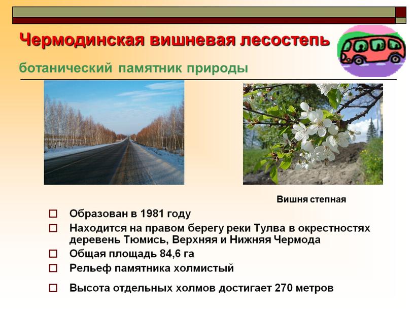 Чермодинская вишневая лесостепь ботанический памятник природы