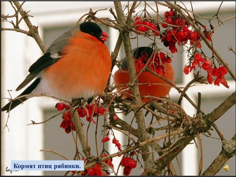 Небо серое с утра, Падают снежинки,