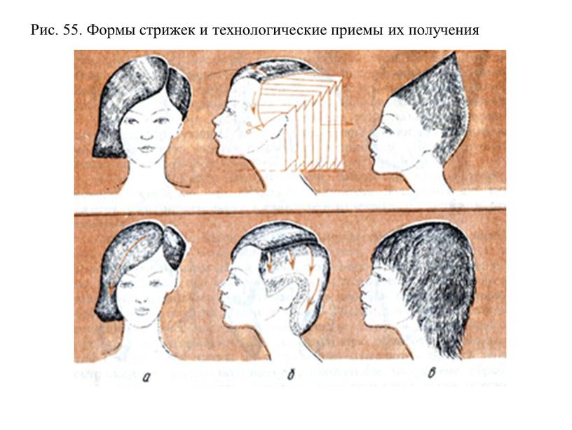 Рис. 55. Формы стрижек и технологические приемы их получения