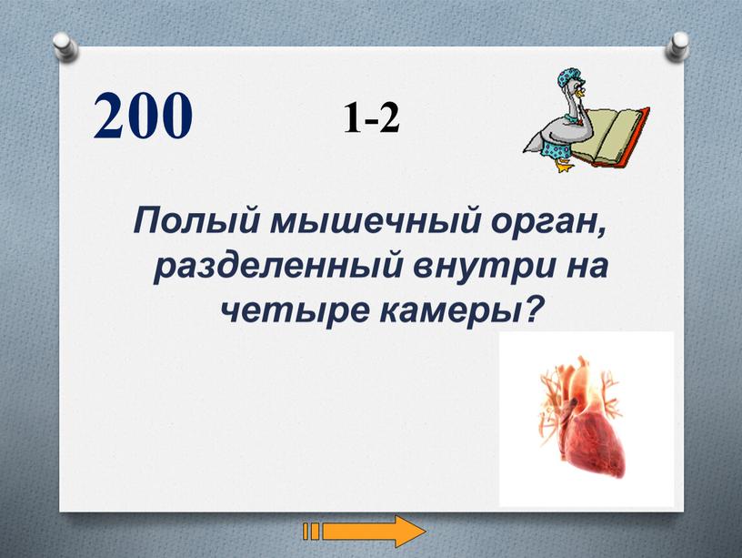 Полый мышечный орган, разделенный внутри на четыре камеры? 200