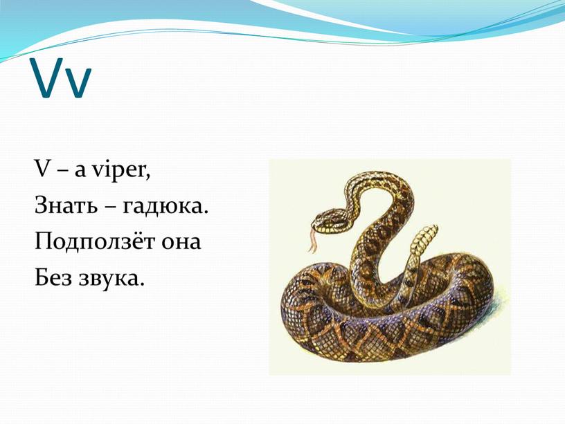 Vv V – a viper, Знать – гадюка