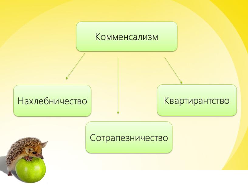 Комменсализм