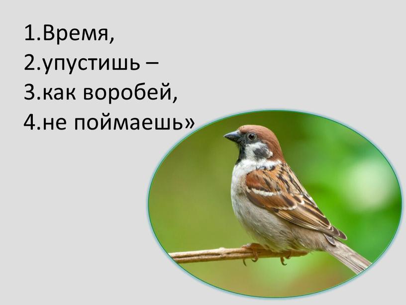 Время, 2.упустишь – 3.как воробей, 4