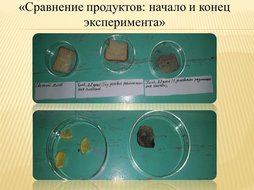 Сравнение продуктов: начало и конец эксперимента»