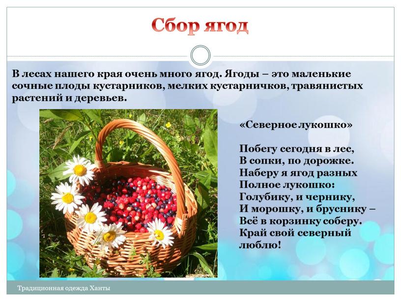 Сбор ягод Традиционная одежда Ханты