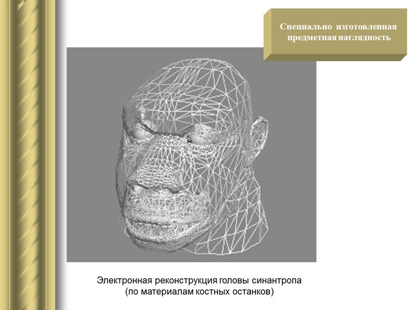 Электронная реконструкция головы синантропа (по материалам костных останков)