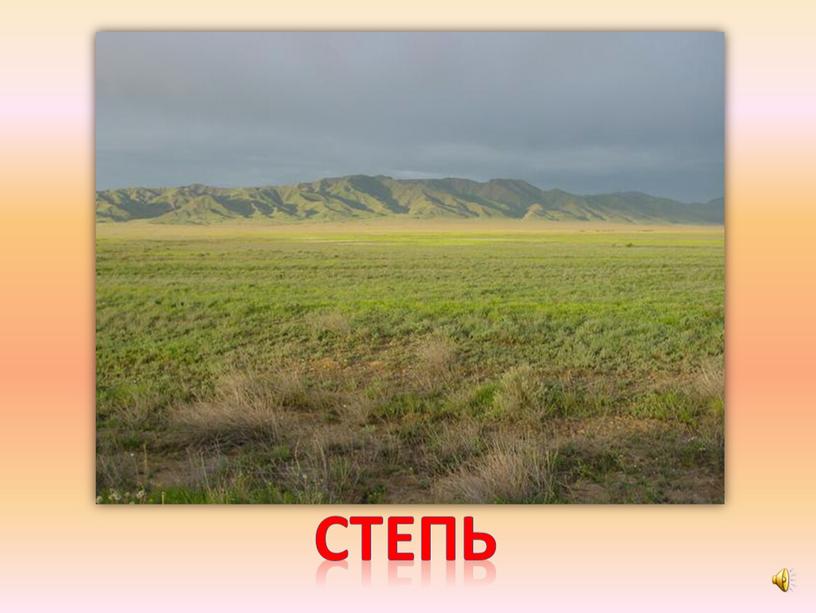 степь