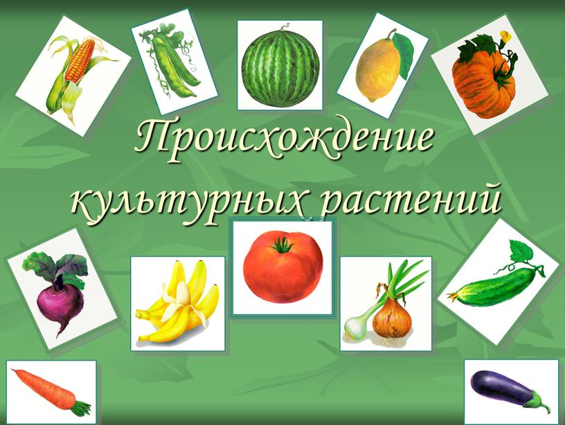 Происхождение культурных растений