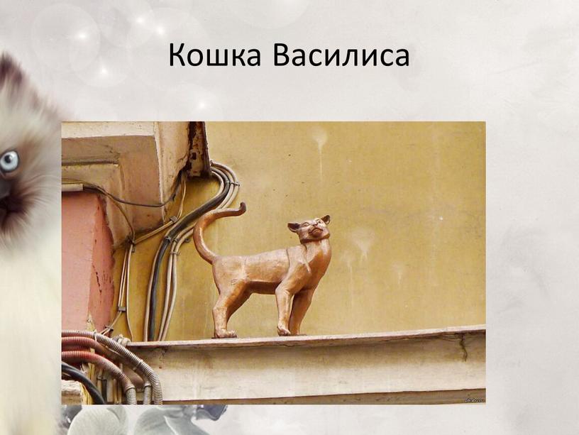 Кошка Василиса