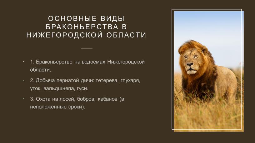 Основные виды браконьерства в Нижегородской области 1