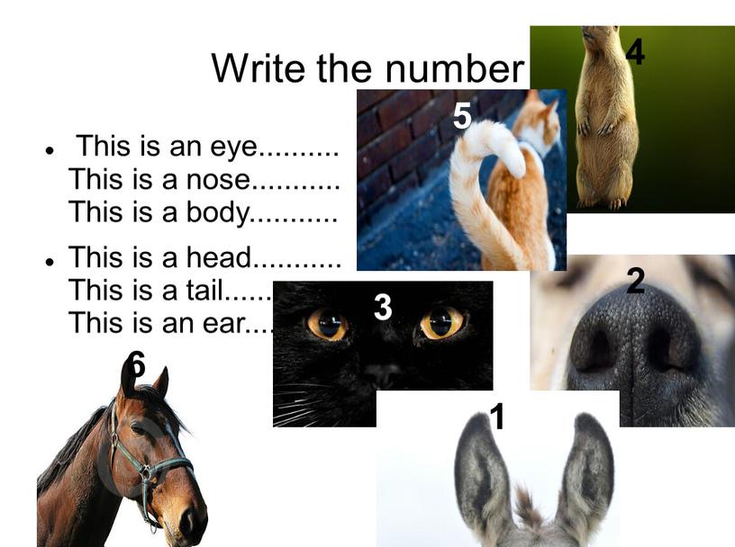 Write the number This is an eye