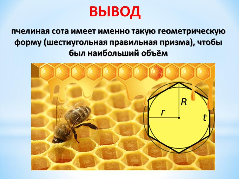 ВЫВОД пчелиная сота имеет именно такую геометрическую форму (шестиугольная правильная призма), чтобы был наибольший объём