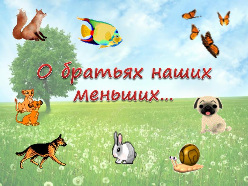 О братьях наших меньших…