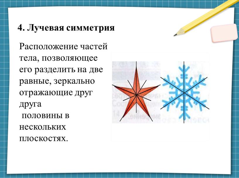 Лучевая симметрия Расположение частей тела, позволяющее его разделить на две равные, зеркально отражающие друг друга половины в нескольких плоскостях