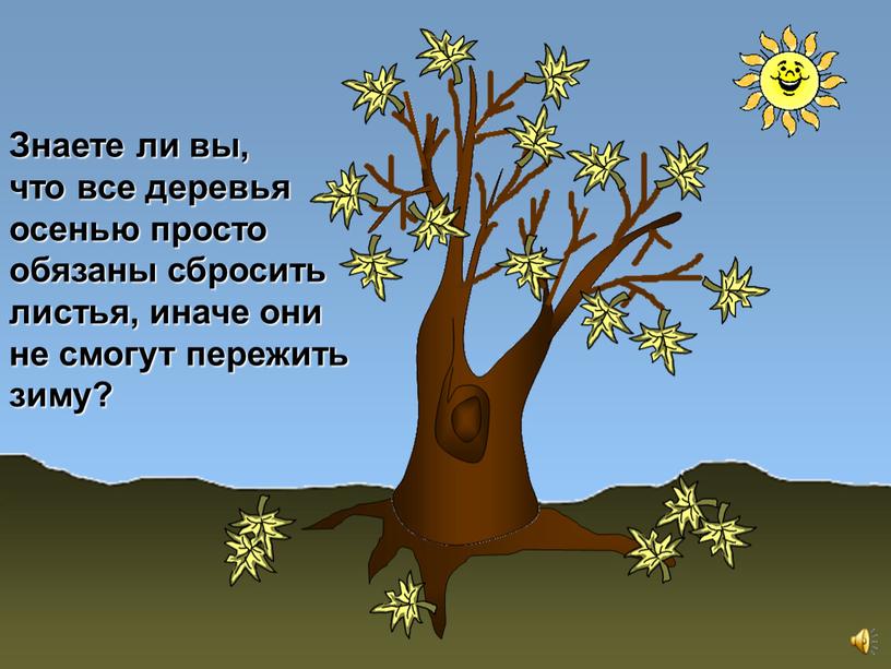 Знаете ли вы, что все деревья осенью просто обязаны сбросить листья, иначе они не смогут пережить зиму?