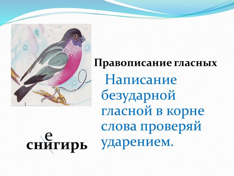 Правописание гласных Написание безударной гласной в корне слова проверяй ударением