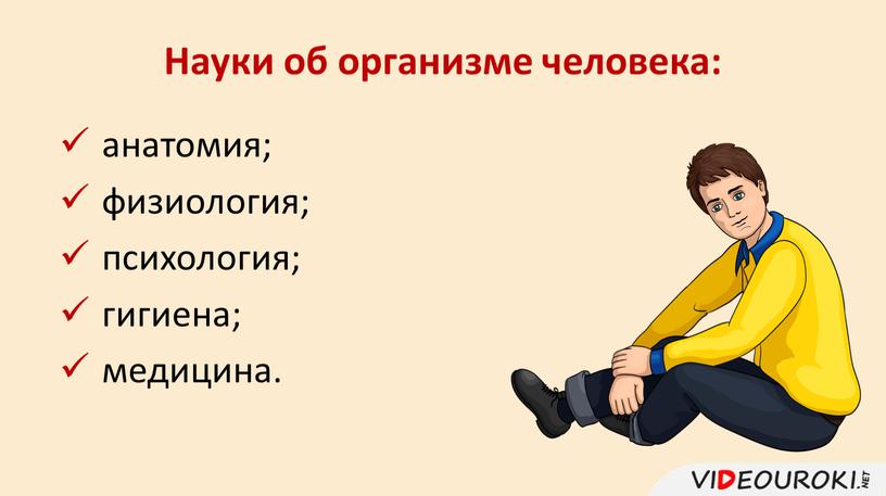 Науки об организме человека: анатомия; физиология; психология; гигиена; медицина