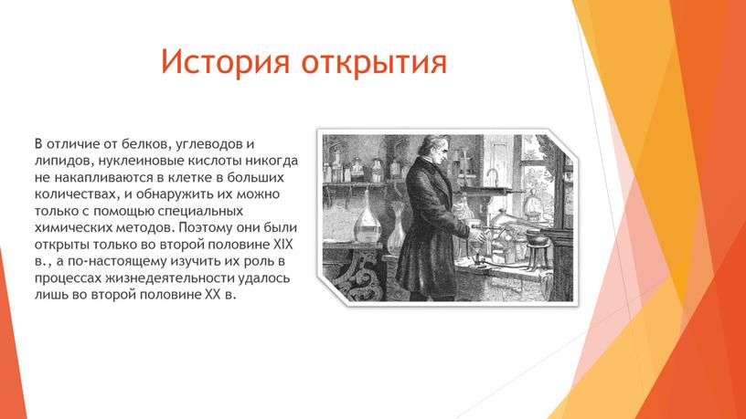 История открытия В отличие от белков, углеводов и липидов, нуклеиновые кислоты никогда не накапливаются в клетке в больших количествах, и обнаружить их можно только с…