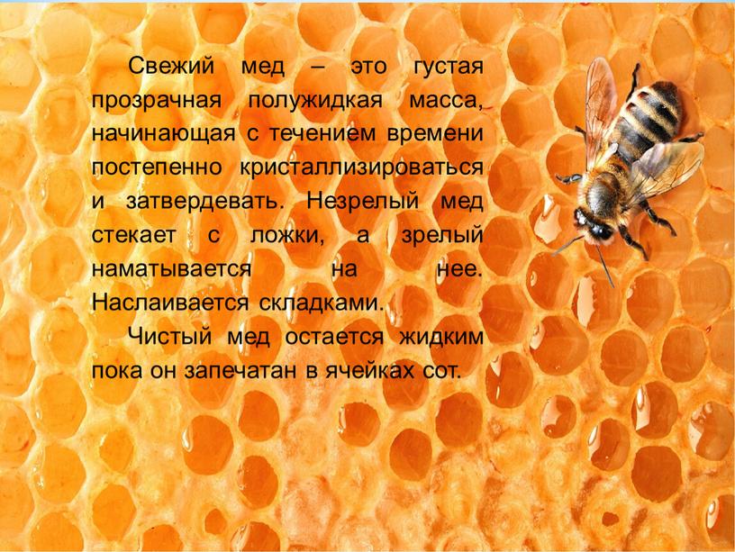 Свежий мед – это густая прозрачная полужидкая масса, начинающая с течением времени постепенно кристаллизироваться и затвердевать