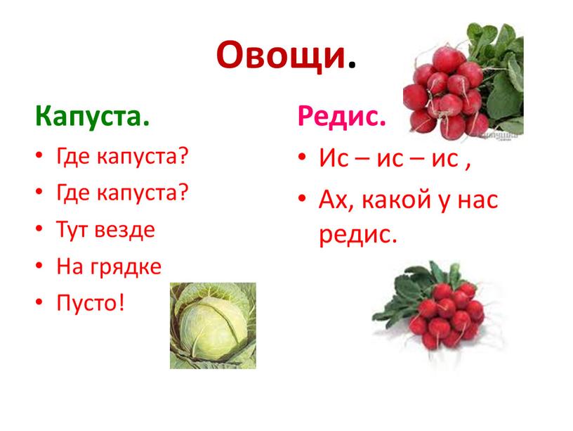 Овощи. Капуста. Где капуста? Где капуста?