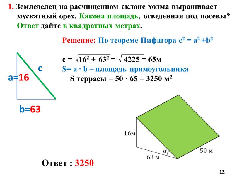 Ответ : 3250 1. Земледелец на расчищенном склоне холма выращивает мускатный орех