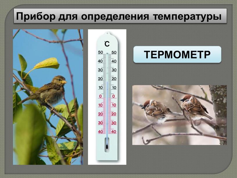 Прибор для определения температуры