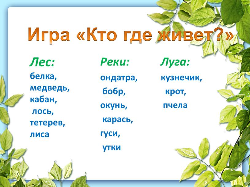 Лес: белка, медведь, кабан, лось, тетерев, лиса