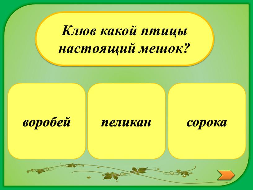 Клюв какой птицы настоящий мешок? сорока воробей