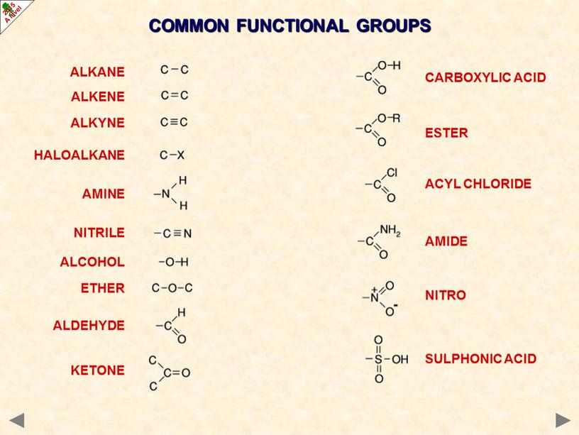 COMMON FUNCTIONAL GROUPS ALKANE