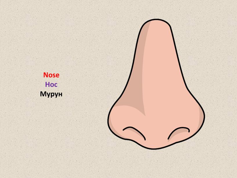 Nose Нос Мурун