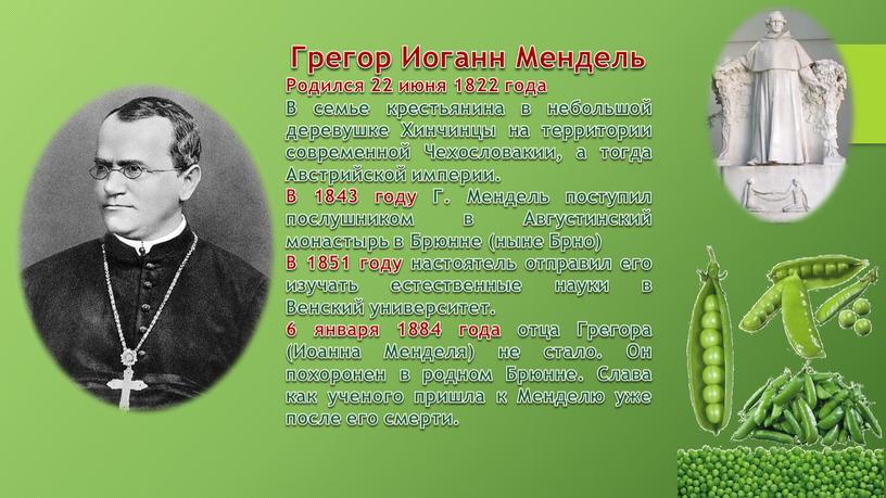 Грегор Иоганн Мендель Родился 22 июня 1822 года