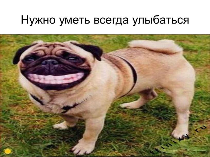 Нужно уметь всегда улыбаться