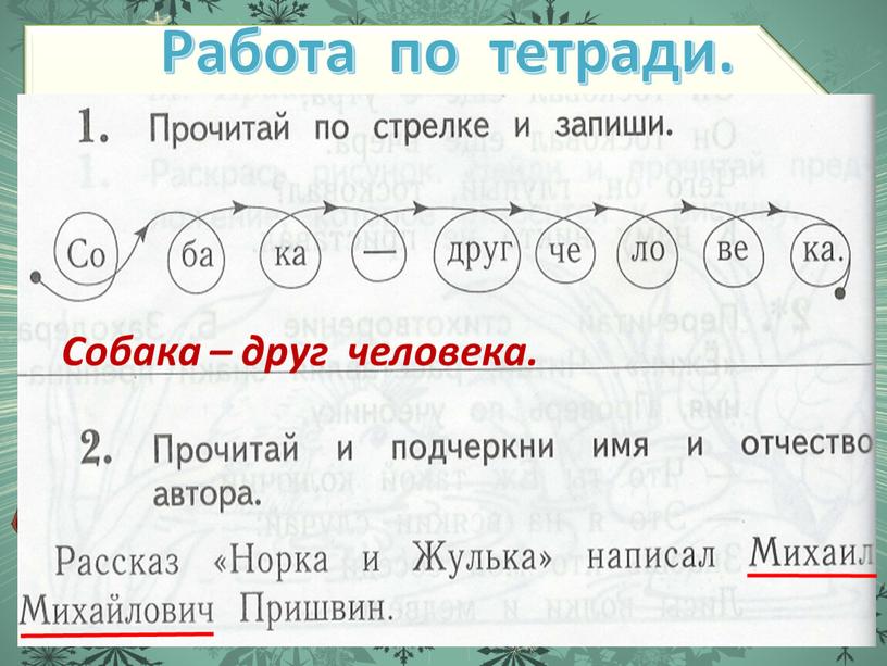 Работа по тетради. Собака – друг человека