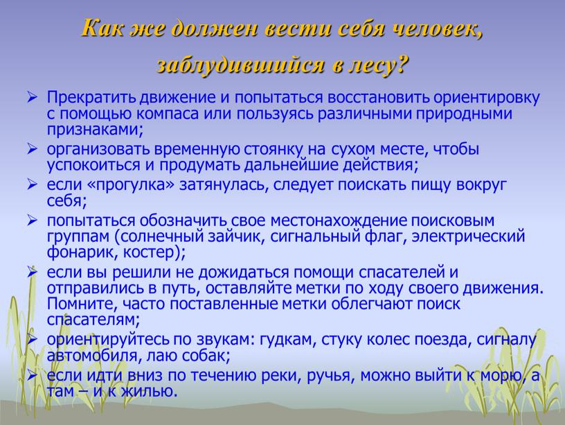 Как же должен вести себя человек, заблудившийся в лесу?