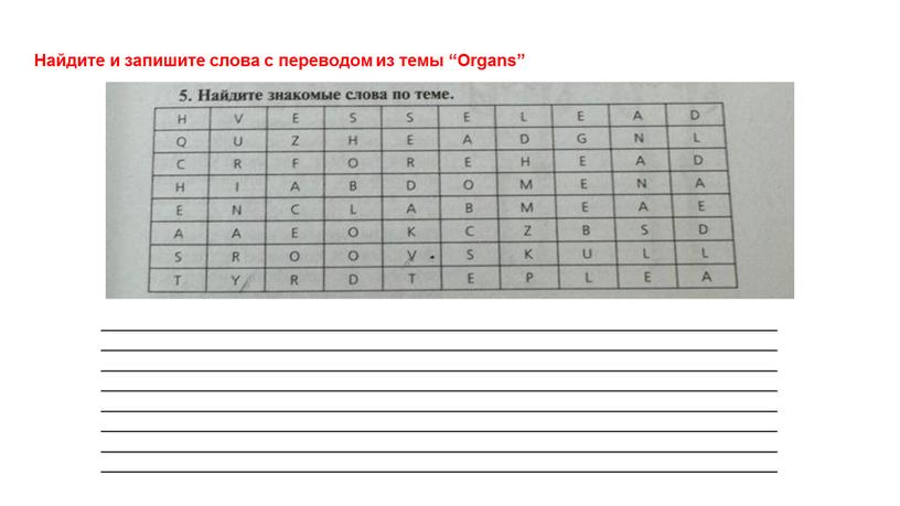 Найдите и запишите слова с переводом из темы “Organs” ________________________________________________________________________ ________________________________________________________________________ ________________________________________________________________________ ________________________________________________________________________ ________________________________________________________________________ ________________________________________________________________________ ________________________________________________________________________ ________________________________________________________________________