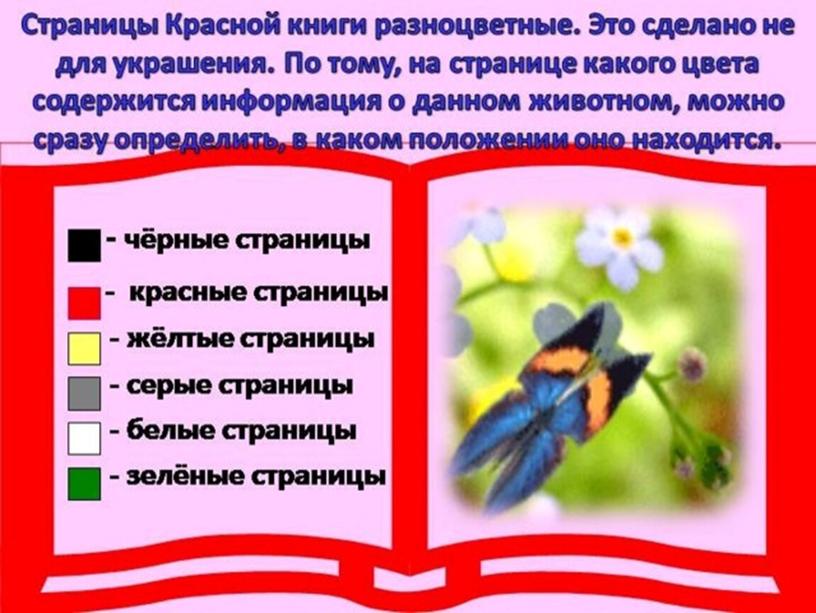 Презентация по окружающему миру по теме "Путешествие по страницам красной книги".